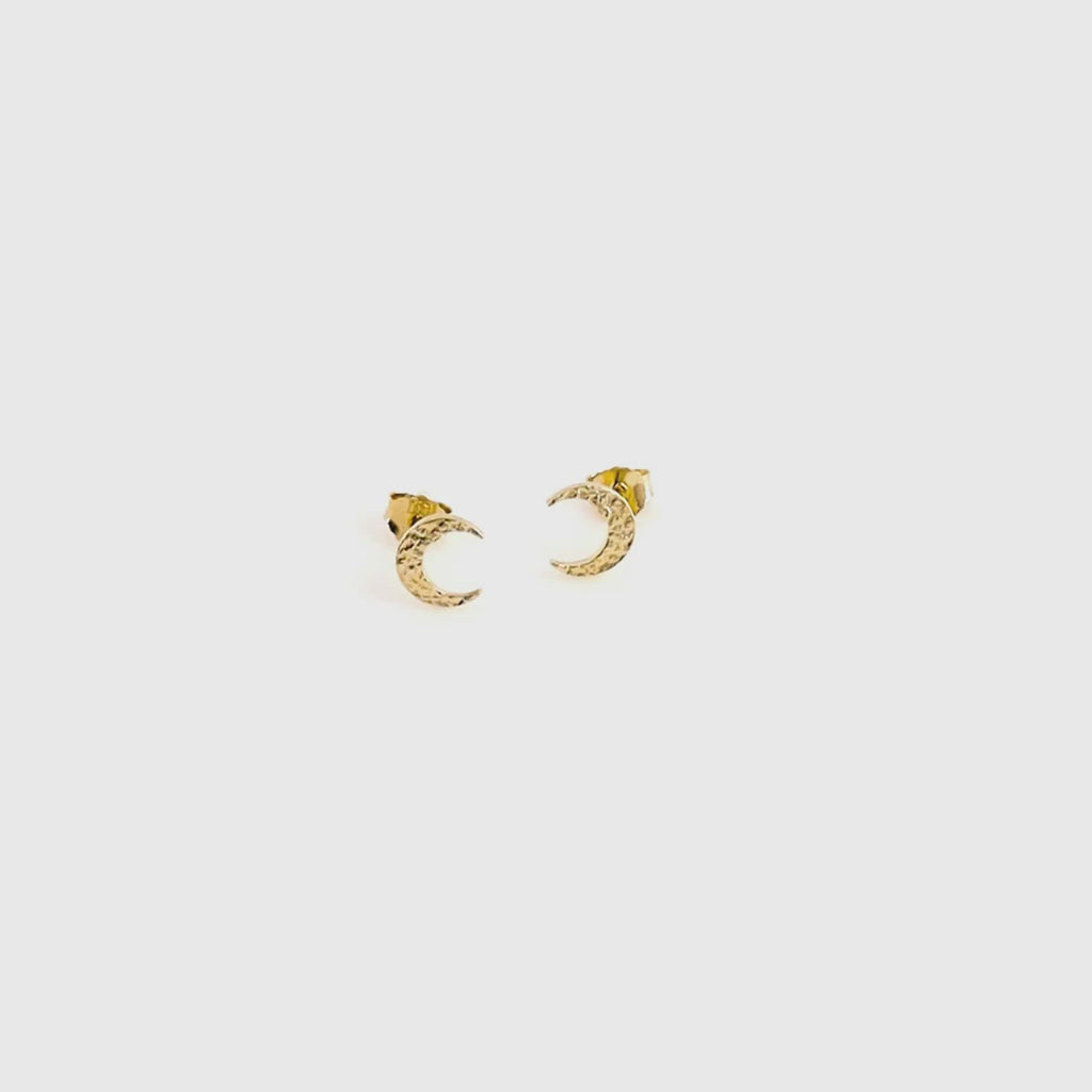 moon ear chips