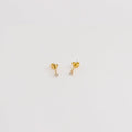 Les Classiques 2 mm