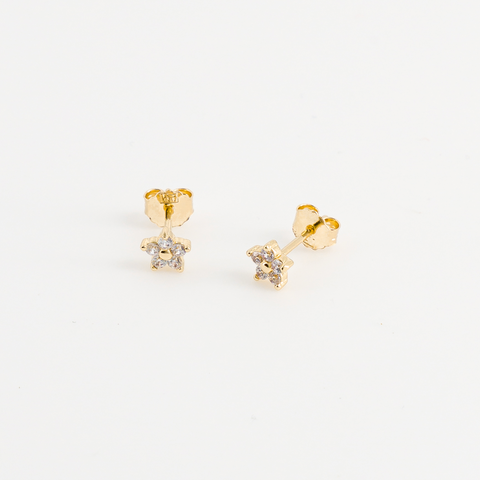 puces d'oreilles fleur vue de face